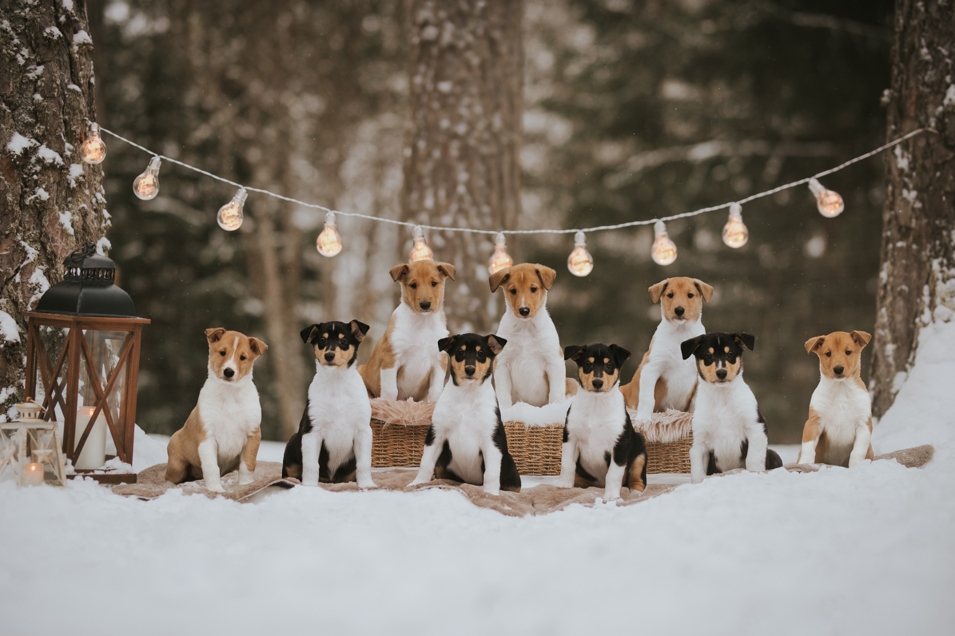 Kuva: Mirella Ruotsalainen